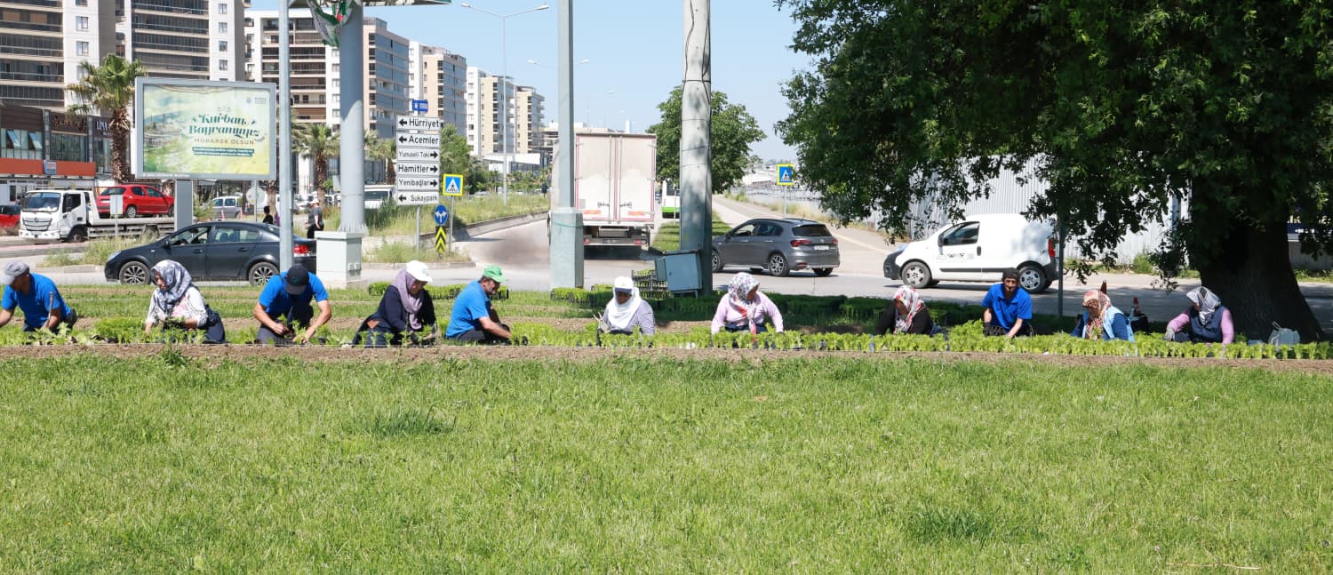 Bu Yaz Osmangazi’de Çiçek Kokuları Eksik Olmayacak