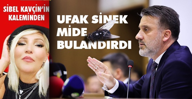 UFAK SİNEK MİDE BULANDIRDI