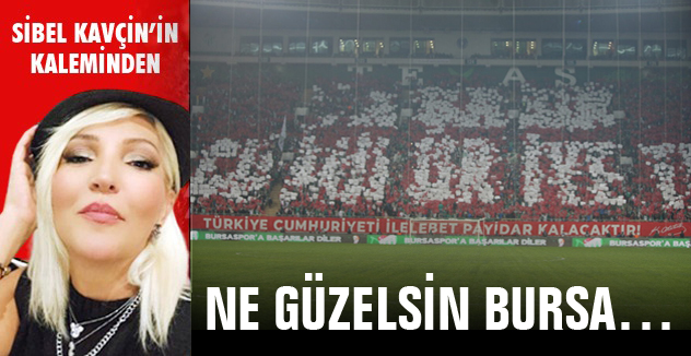 NE GÜZELSİN BURSA...