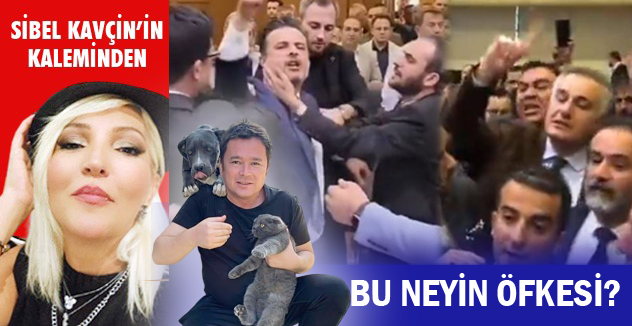 BU NEYİN ÖFKESİ?