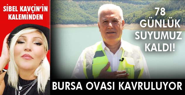 BURSA OVASI  KAVRULUYOR