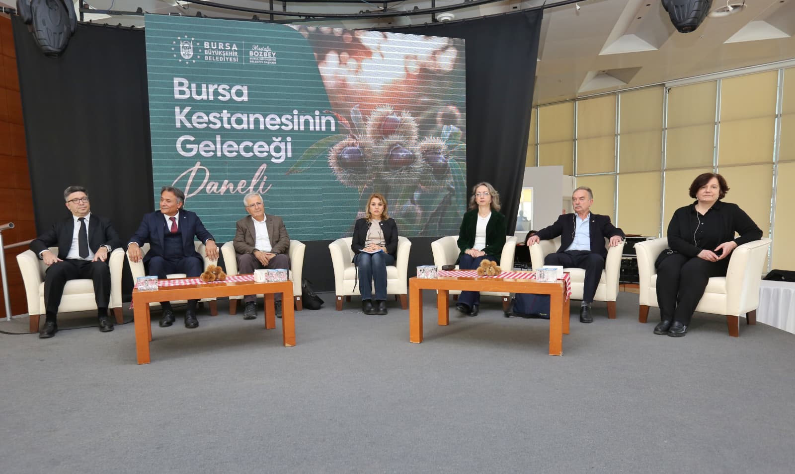 Bursa kestanesine Büyükşehir’den destek